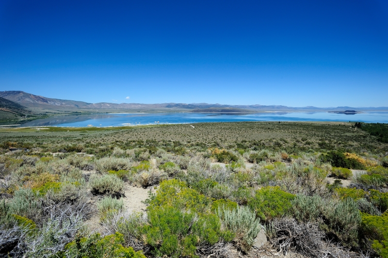 Mono Lake-Viaggi_Lago-1.JPG